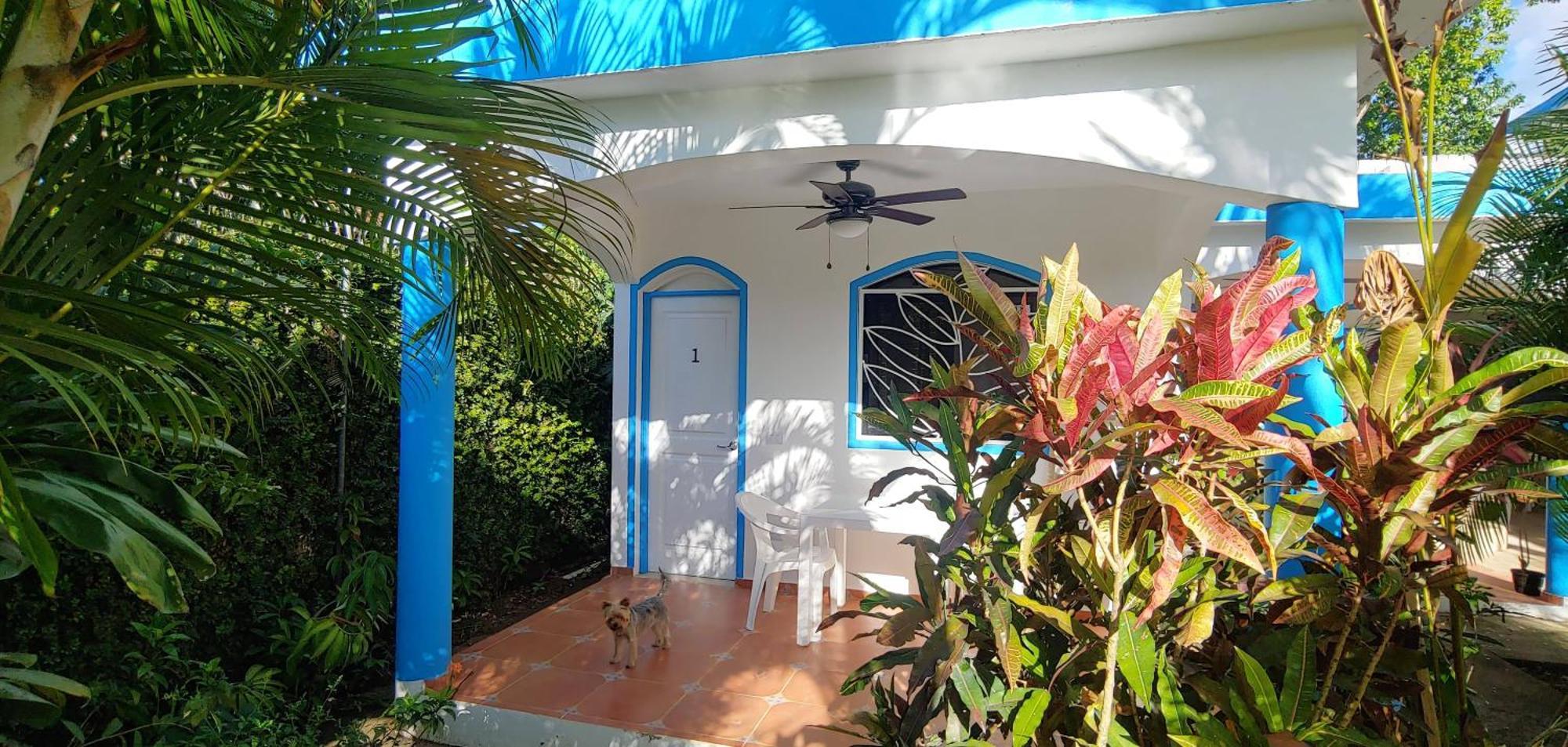 Chambre Bungalow2 Las Terrenas Extérieur photo