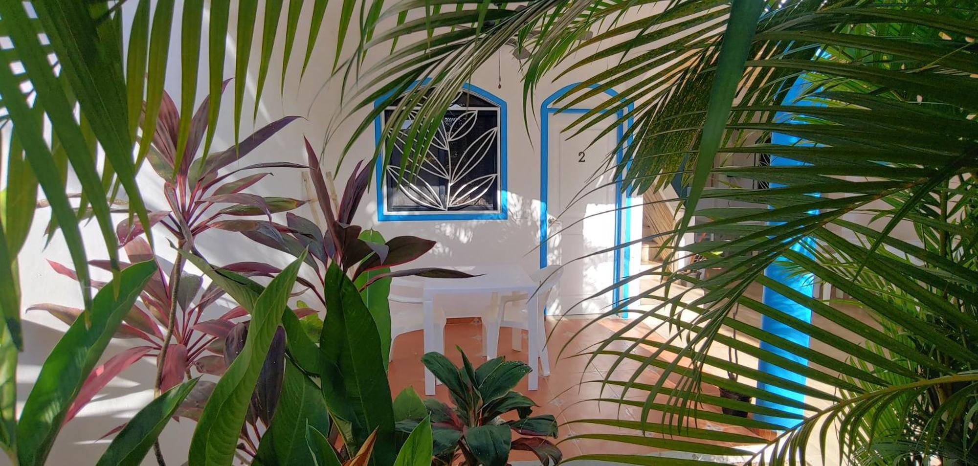 Chambre Bungalow2 Las Terrenas Extérieur photo